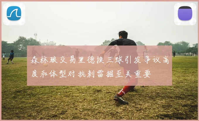 森林狼交易里德换三球引发争议高度和体型对抗刺雷掘至关重要