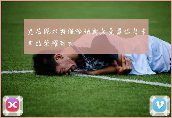克尼佩尔调侃哈珀新秀羡慕你与卡布的荣耀时刻